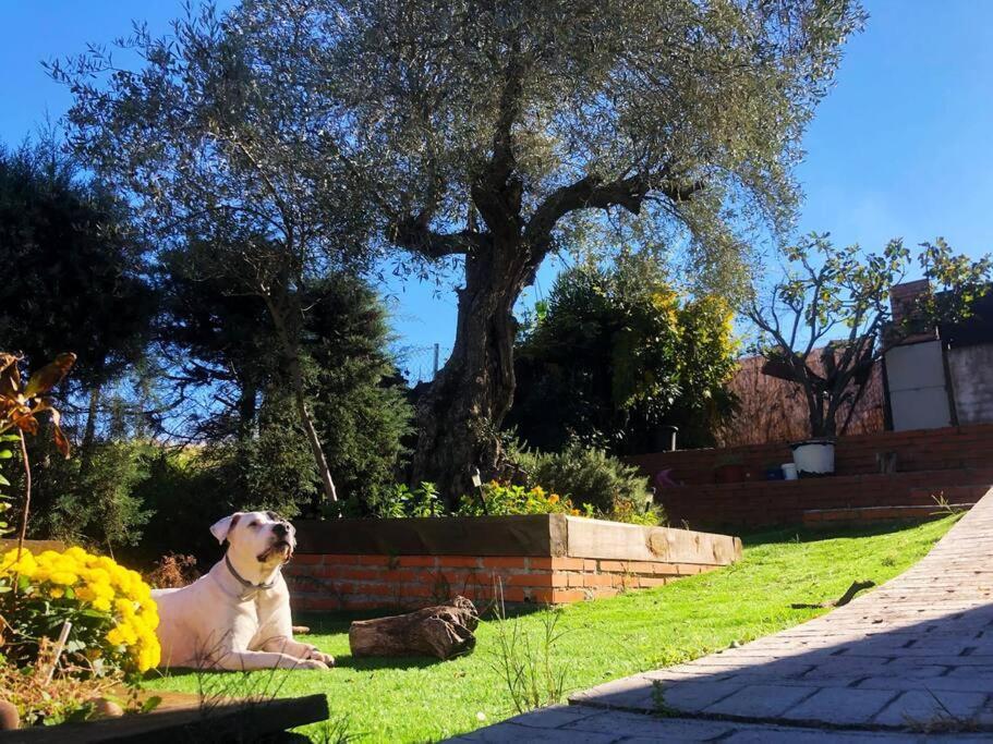 Villa Preciosa Con Hermosas Vistas. Hormigos Exteriör bild